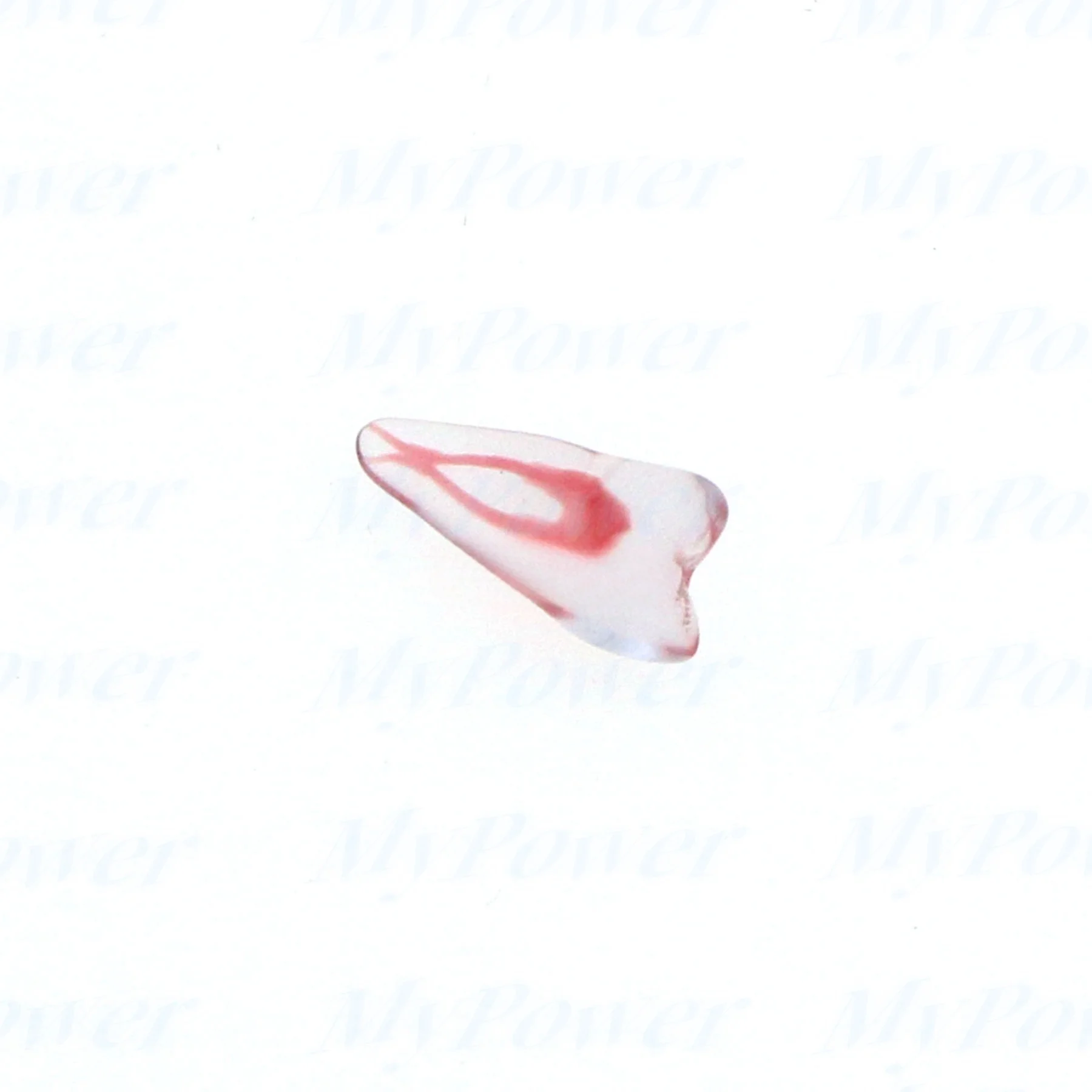 Tandheelkundige Training 3d Rct Endo Tandmodel Oefenmodel Gebogen Wortelhars Tanden