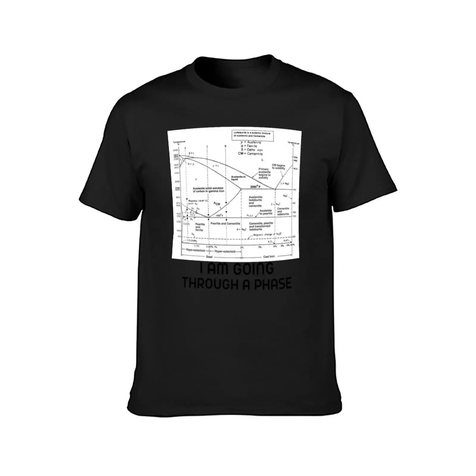 I AM GOING THROUGH A PHASE, Iron Carbon Phase Diagram Gift T-Shirt man t shirt vintage t shirts luxury clothes men