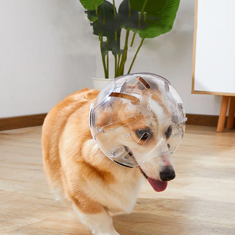 Dog transparent mask pet space helmet anti-bite Transparent Hood mouth stoppers