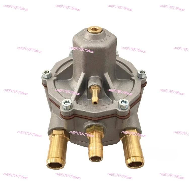CNG Automotive Natural Gas Parts LPG Liquefied  Vehicle Multi-point Pressure Reducer Thomas Evaporator  Direct Injection Valve