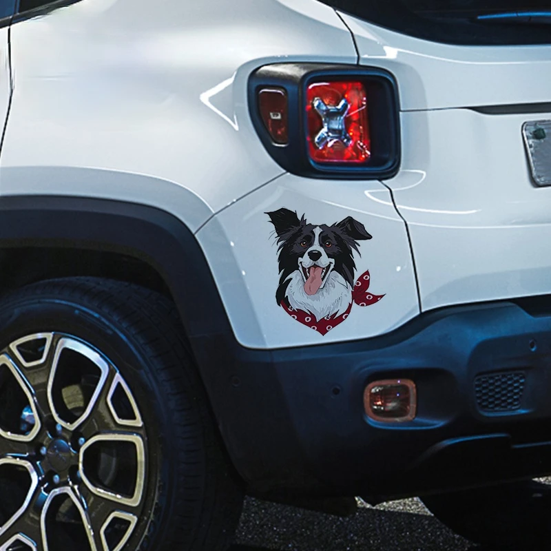 13/17cm Border Collie Car Stickers Graffiti Decal Windshield Waterproof Sticker Occlusion Scratch K55#