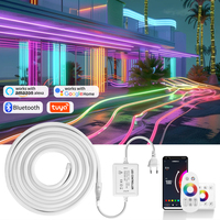 AC220V RGB Neon LED Strip Lights Music Sync Smart Neon Lamp Tape WiFi RF Remote Control Dimmable For Home Decoration Lighting