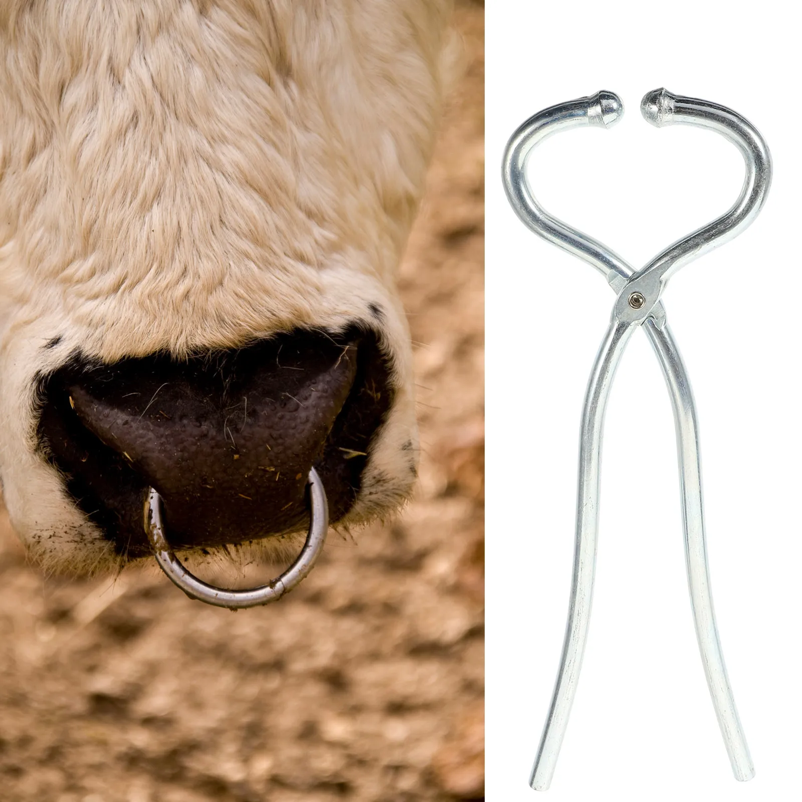 

Stainless Steel Cow Nose Pliers Durable Bull Cattle Piercing Tool Spherical Design Smooth No Burr Farm Supplies Livestock
