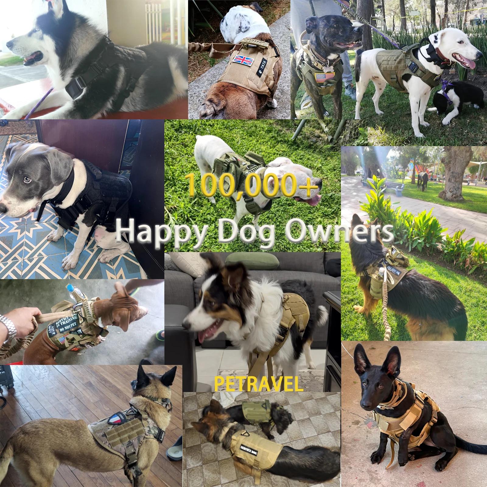 Tactical Dog Training Harness 6