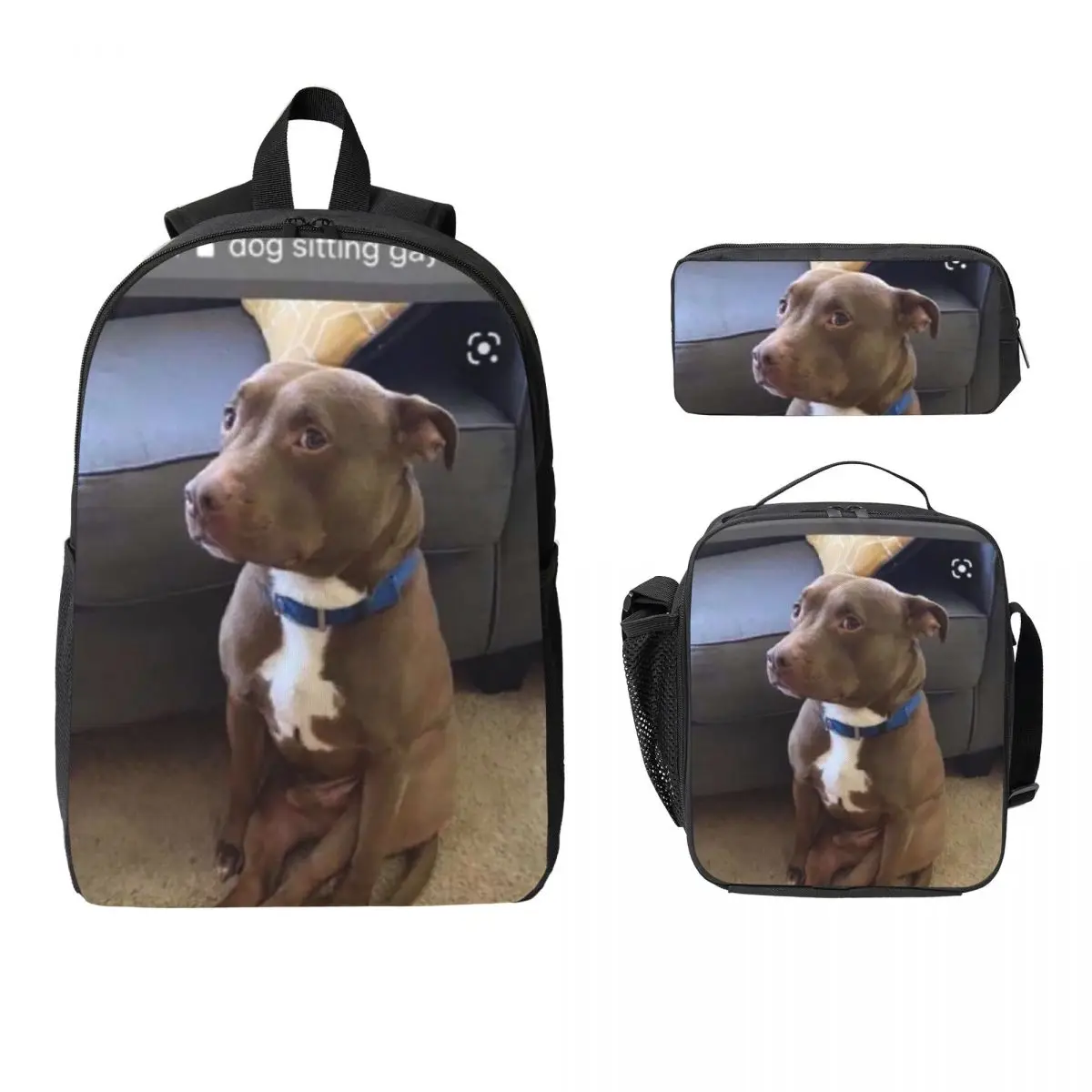 Dog Sitting Gay Backpack Boys Girls BookBag School Bag Computer Shoulder Bags 3ps Insulated Lunch Bag Pencil Case