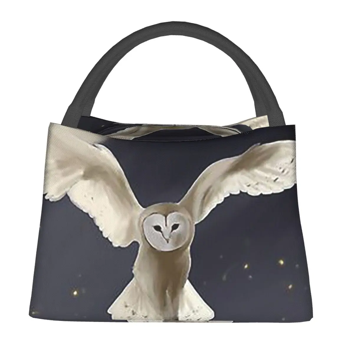 Barn Owl Night Flight Lunch Bags Insulated Bento Box Leakproof Lunch Tote Picnic Bags Cooler Thermal Bag for Woman Kids Travel