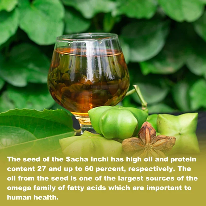 Sacha Inchi Capsules 600mg - Organic Source of Omegas 3, 6 and 9 - Helps Gut, Skin, Hair, Heart Health