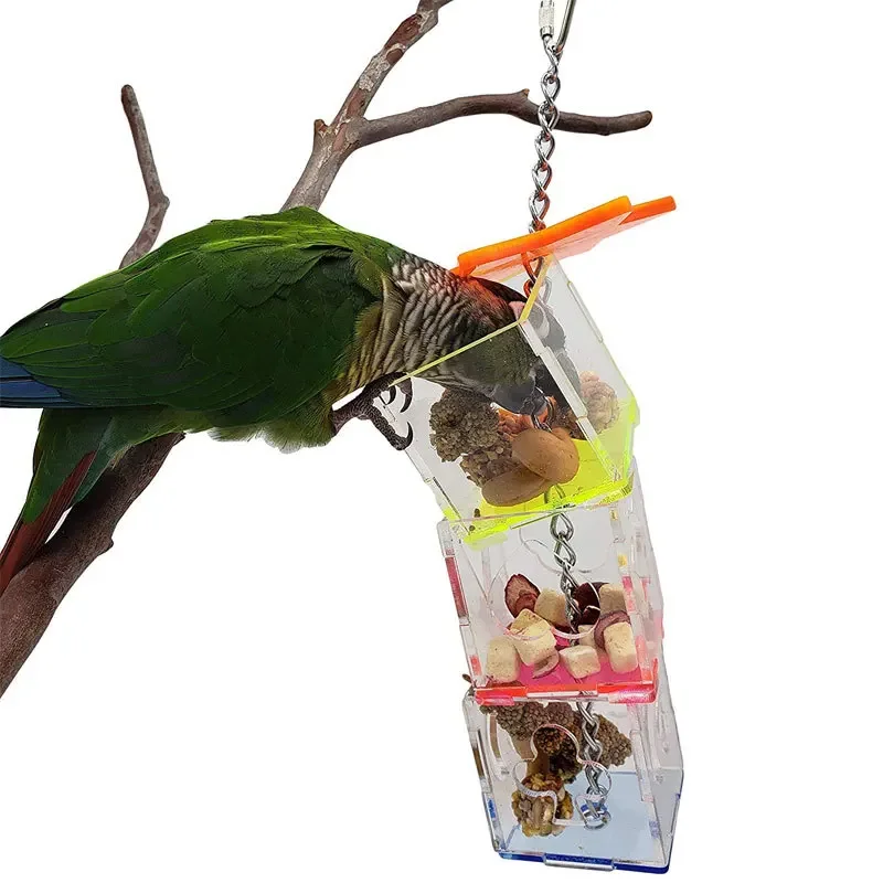 Bird foragger, acrylic parrot, puzzle training, bird toys, bird supplies, parametry toys