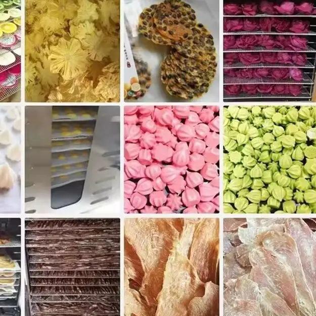 

Сушильная машина для сушки овощей и фруктов