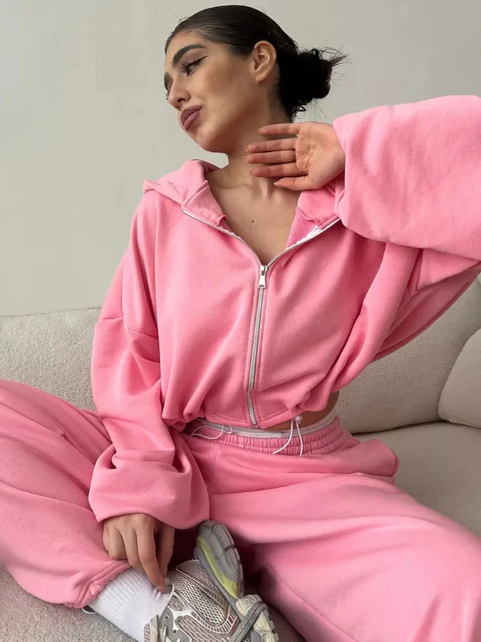 

Женский повседневный костюм Street Sle Long Sve, кардиган с капюшоном, комплект Faion, полиэстер, длинная молния, чистый цвет, осенняя одежда