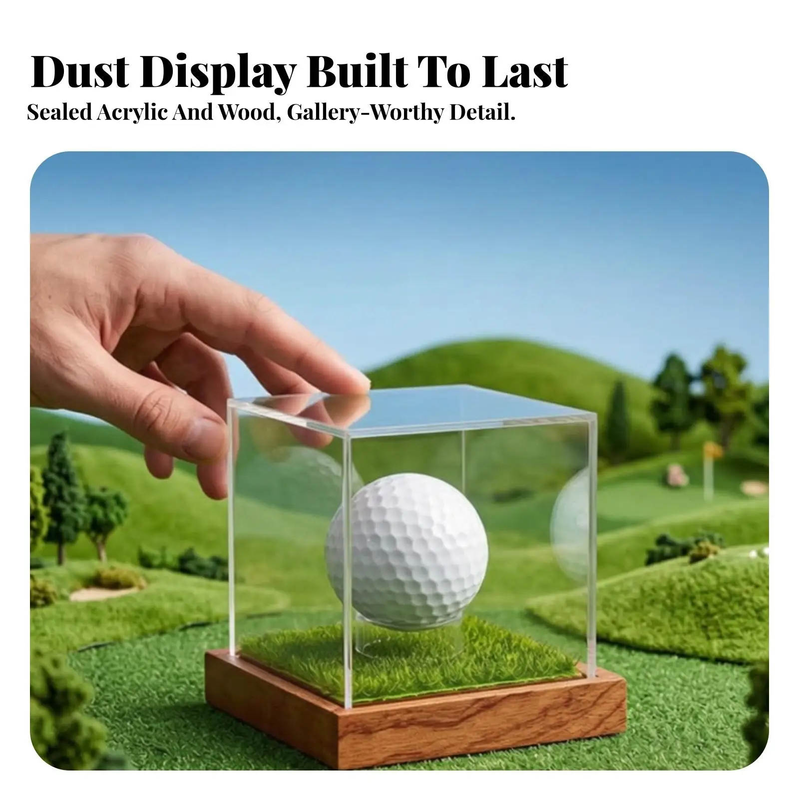 Golf Ball Display Case with Wooden Base Compact for Game Rooms