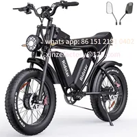 Customizable Ridstar Q20 52V40AH 2000W Electric Bike Dual Motor Battery 20*4.0inch Fat Tire Ebike Mountain Snow Electric Bicycle