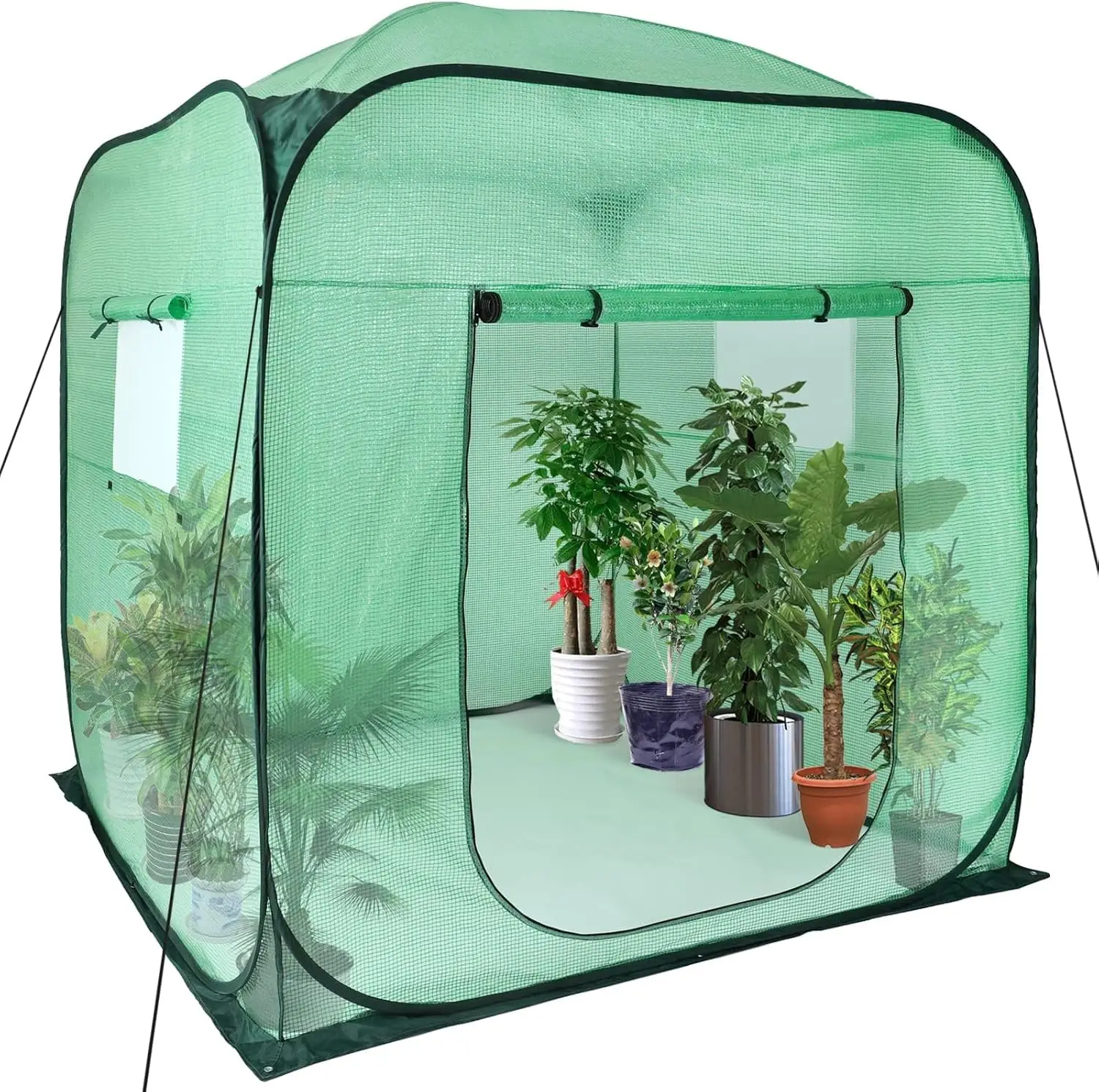 Upgraded Pop-Up Plant Greenhouse For Outdoors With Roll-Up Zipper Entry Doors And Windows, Durable Pe Cover, Walk-In And