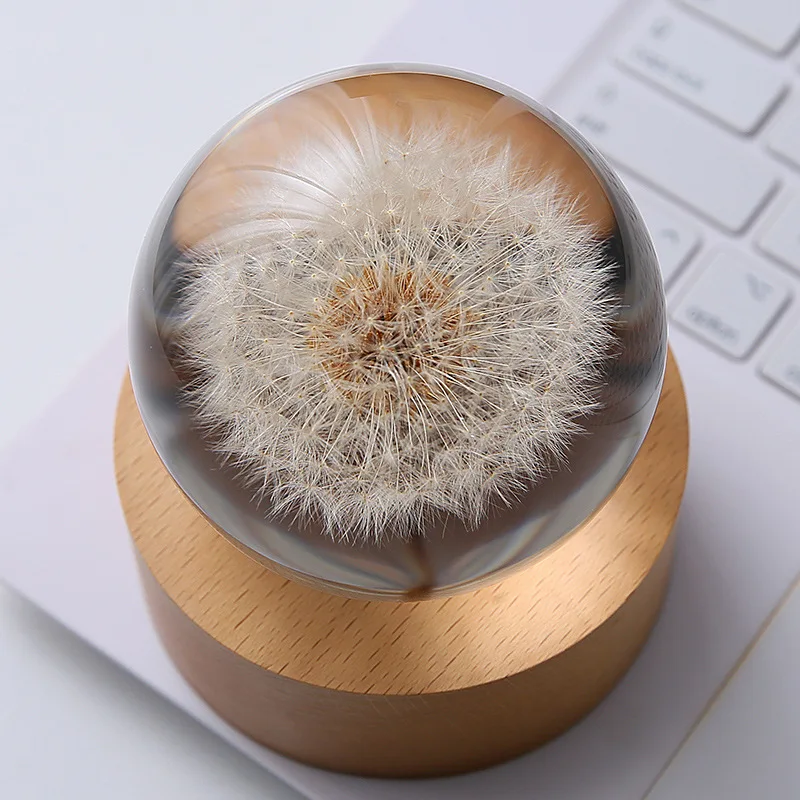 cx cartoon lettering dandelion plant crystal ball desktop office ornament