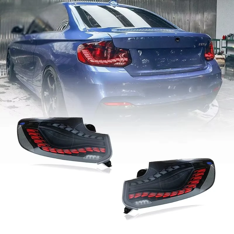 

XDS Best selling Car Tail Lamp Tail Light Modified Double Dragon Scales LED Taillight Turn Signal Lamp Brake Light for 2 Series