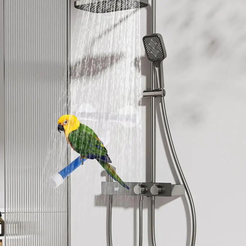 Pet Parrot Bath Perch Suction Cup Bird Perch Window Stand Wall Mount Standing Rack Parrot Cage Accessories Bath Toys For