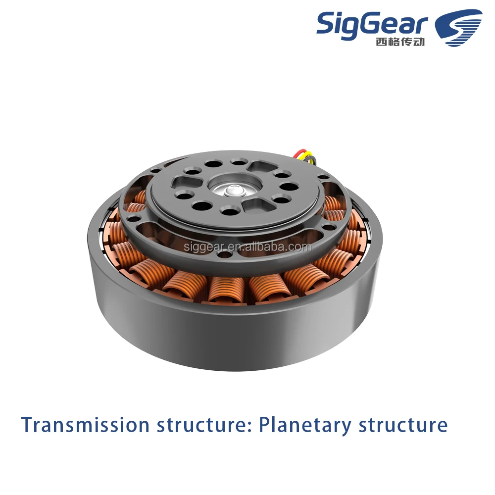 High Load Capacity Precision Planetary Gear Reducer  6Nm 310RPM 12-48V Planetary Gear Reducer for CNC and Robotics