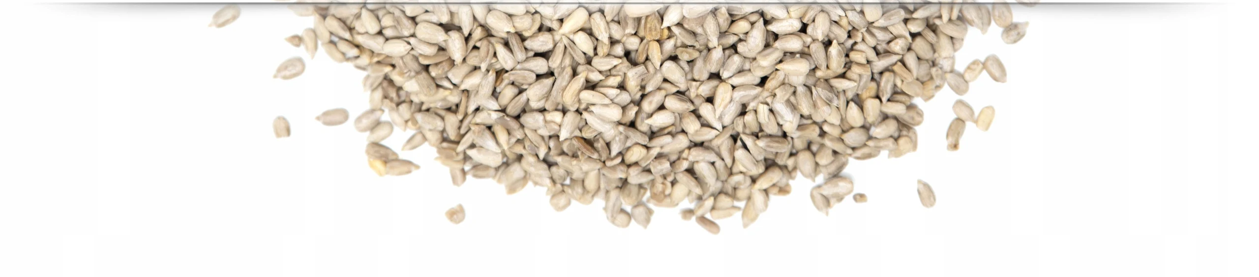 Bild 4: Sonnenblumenkernbrot, ganz, 500g