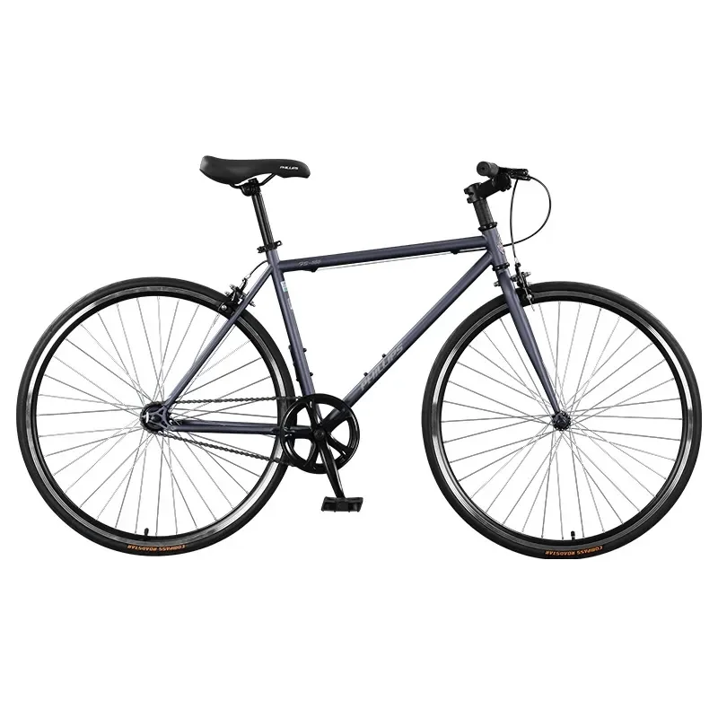 Philip Ping Road Bike for Adults Men and Women Daily Commuting Travel Cycling Sports Bicycle