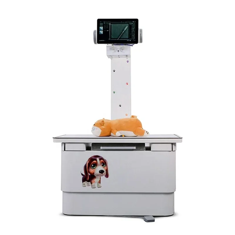 Veterinarian Digital X-ray Machine Animal X-ray Machine Dogs and Cats Big Animals