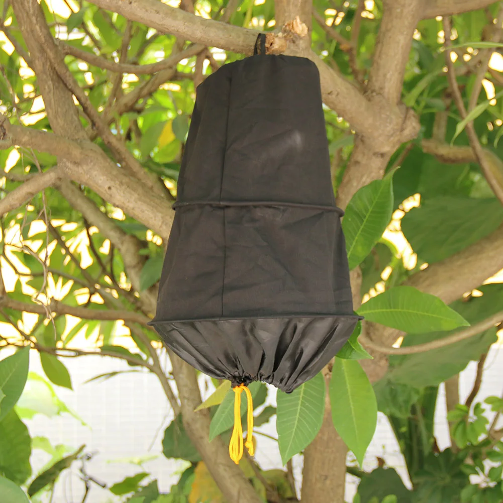 

3 Layers Catching Box Multifunctional Catching Device Prevent Injury Beekeeping Catching Tool Accessories Garden Supplies
