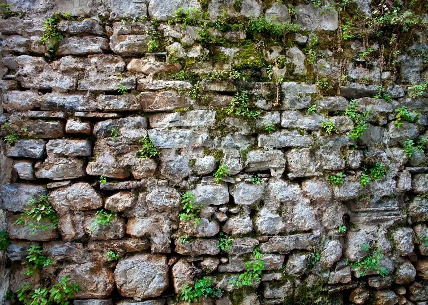 Vintage Brick Stone… - image