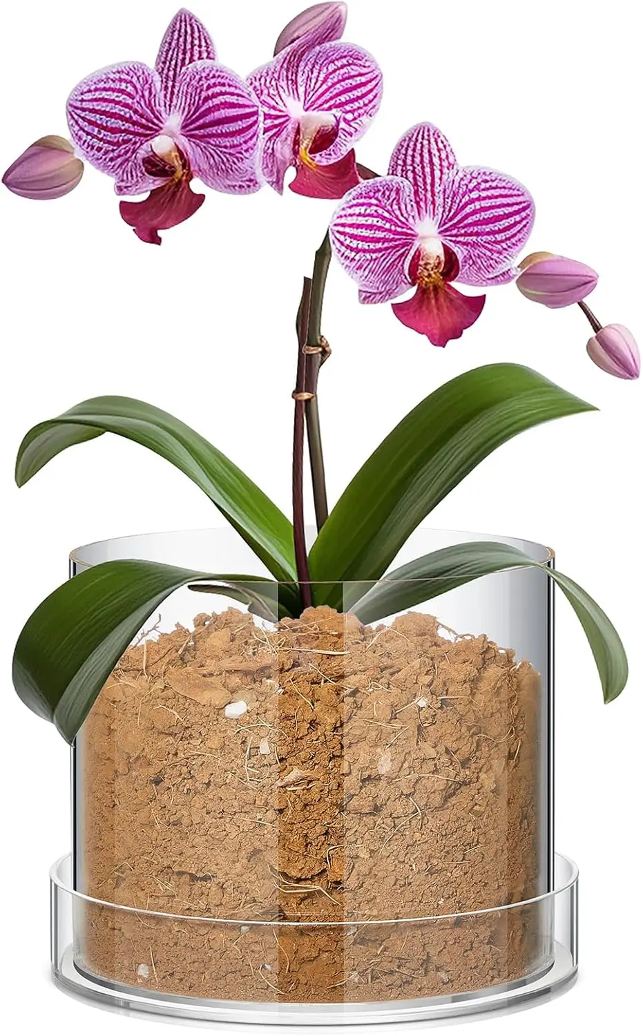 

Clear Plant Nursery Pots Acrylic Orchid Pots with Drainage Holes and Tray Transparent Planter for Indoor Plants, Succule