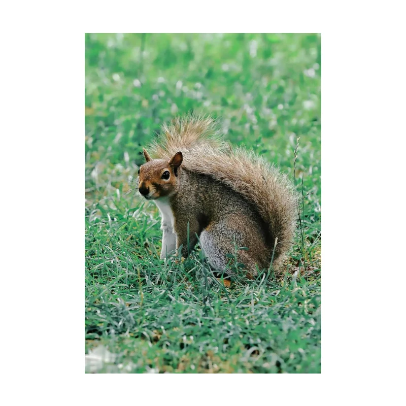 

Smart Wristbands 10 Day Battery Life 200mAh LED Digital Sleep-Aiding White Noise Bracelets 10 Day Battery Life 200mAh Bracelet