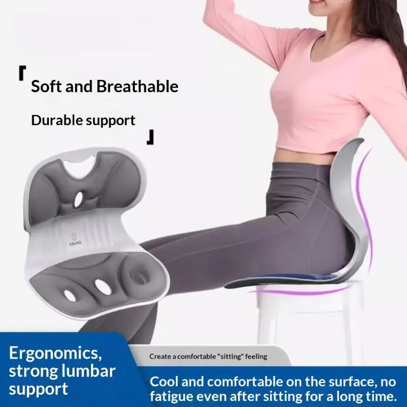 Ergonomic Lumbar Support Seat Cushion Back Support Pad For Office Home Student Sitting Posture Correction