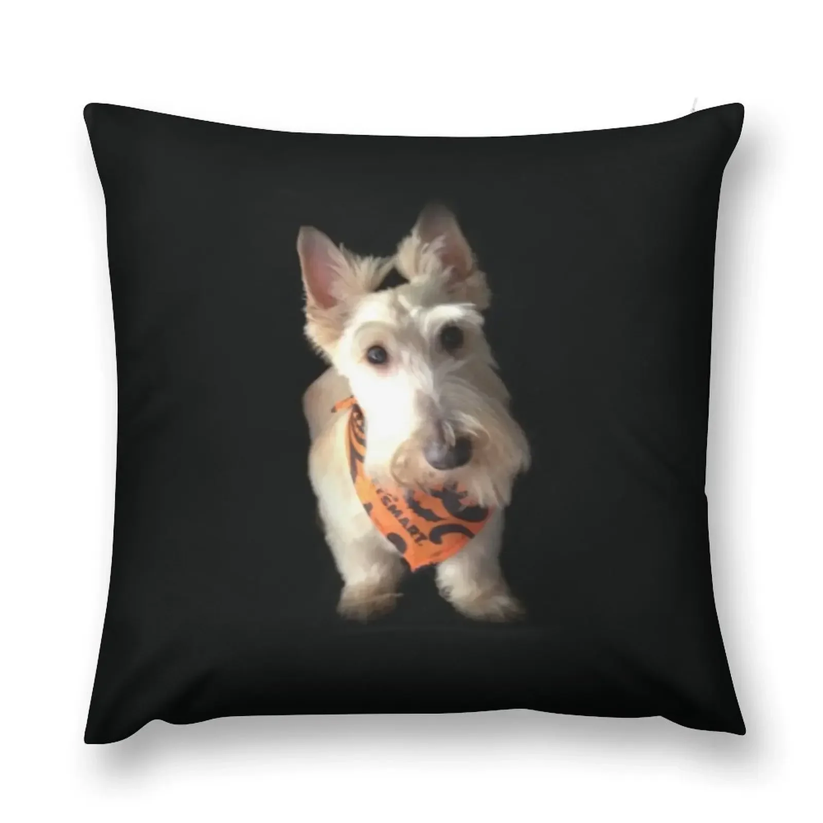 

Hair Cut - Wheaten Scottish Terrier Throw Pillow Pillows Aesthetic Cushion Cover For Sofa pillow