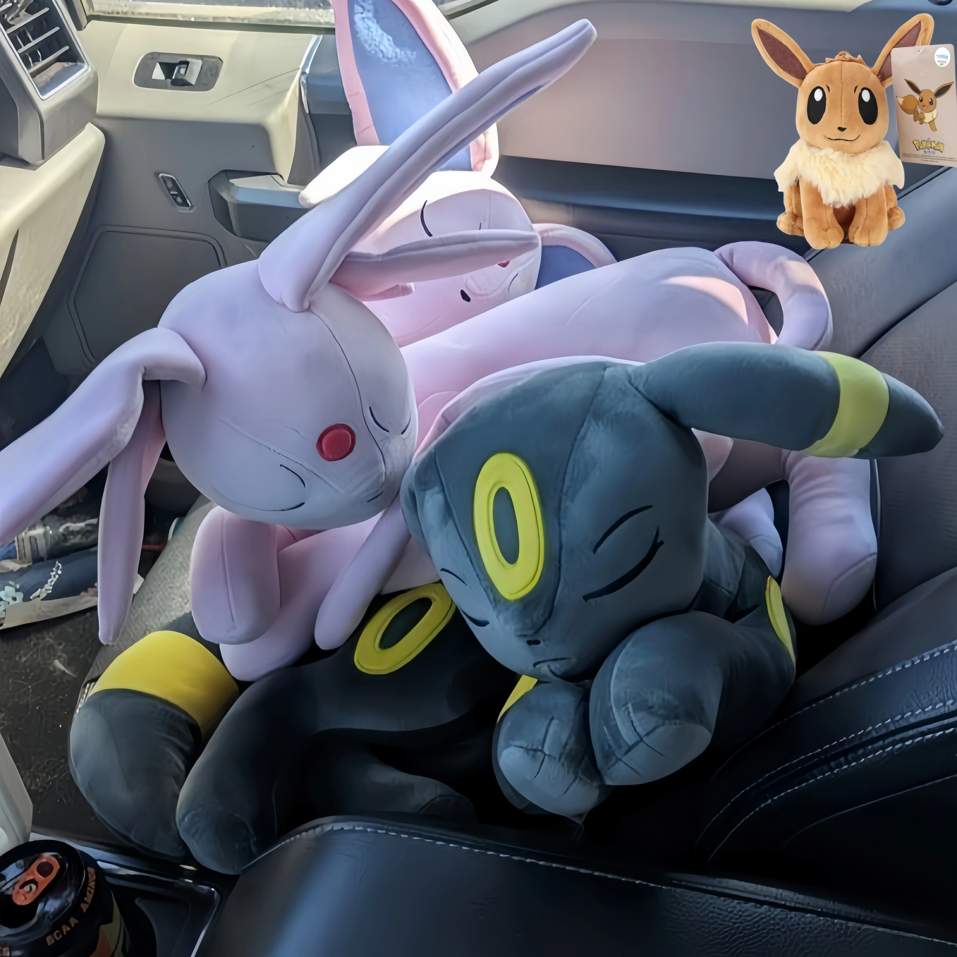 Big Size 50cm Umbreon Plush Toys Eevee Evoli Flareon Vaporeon Sylveon Charizard Piplup Riolu Sleep Plush Soft Doll Gift for Kids