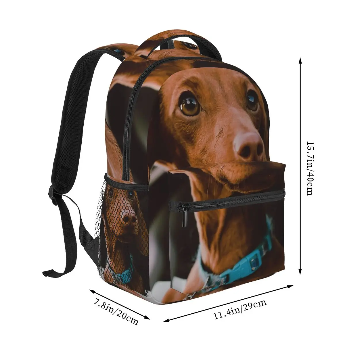 Dachshund Dog Photo Portrait With Car Backpack for Girls Boys Travel RucksackBackpacks for Teenage school bag