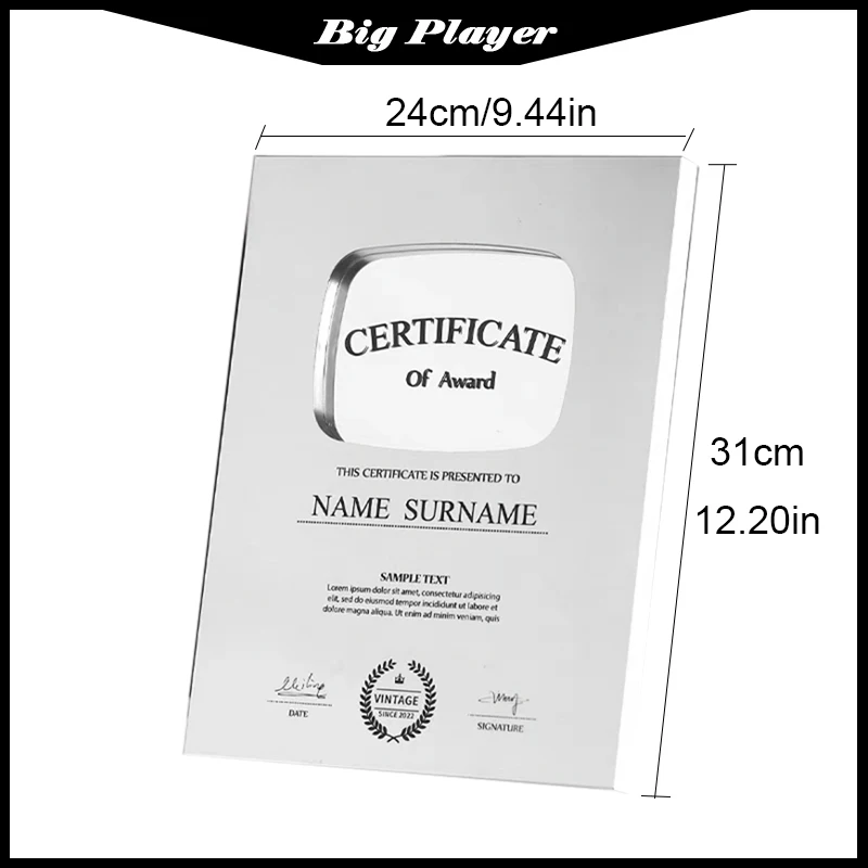 ميدالية جائزة فيديو مستقلة لعام 2025، طباعة ذهبية وفضية بالأشعة فوق البنفسجية، لوحة اسم مخصصة، ميدالية شرف درع الكأس المعدنية