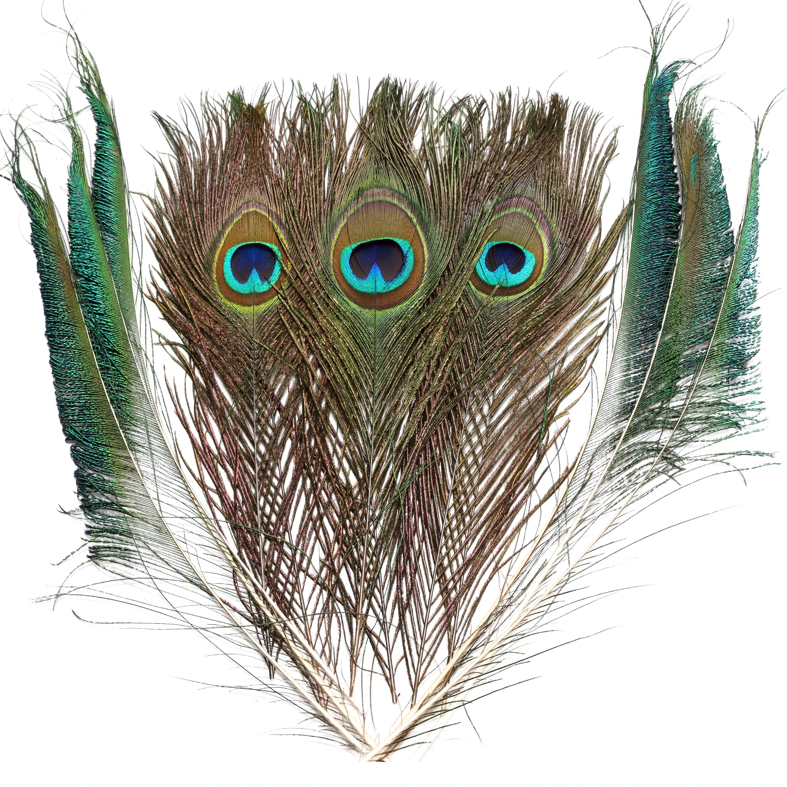 

High Quality Wholesale Holiday Items Party Home Decor Large Eyes Natural Peacock Feathers