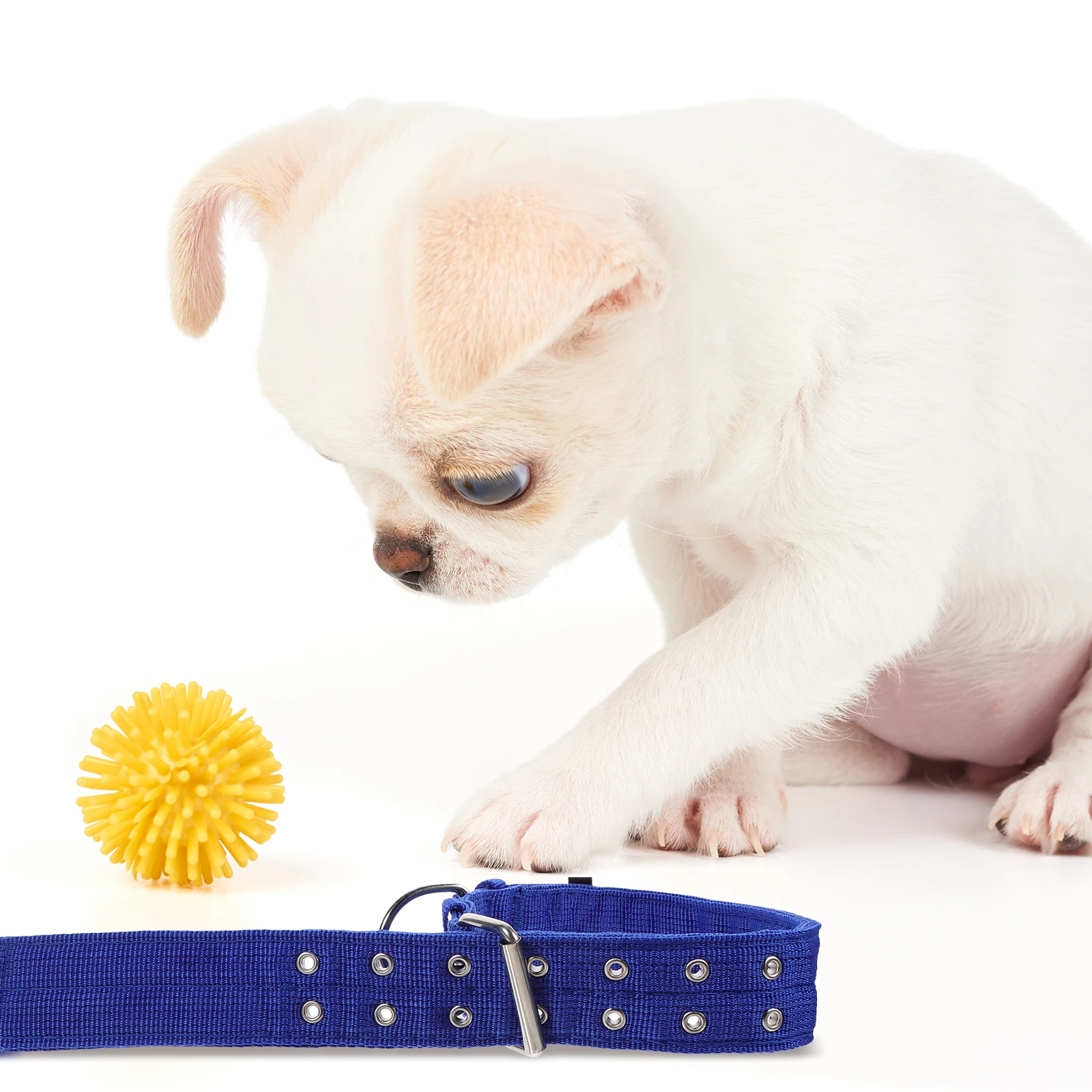 

2pcs Sheep Style Dog Necklace Pet Collar Adjustable XL Lightweight Comfortable Alloy Accessory for Puppy Adult Dogs