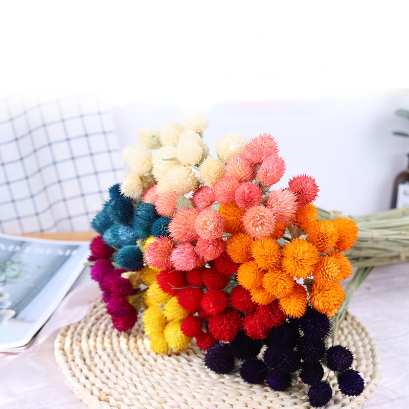 

15pcs Dried Flower Nature Real Berry Flowers DIY Floral Rabbit Grass For Wedding Bouquet Home Room Decor Christmas Decorations