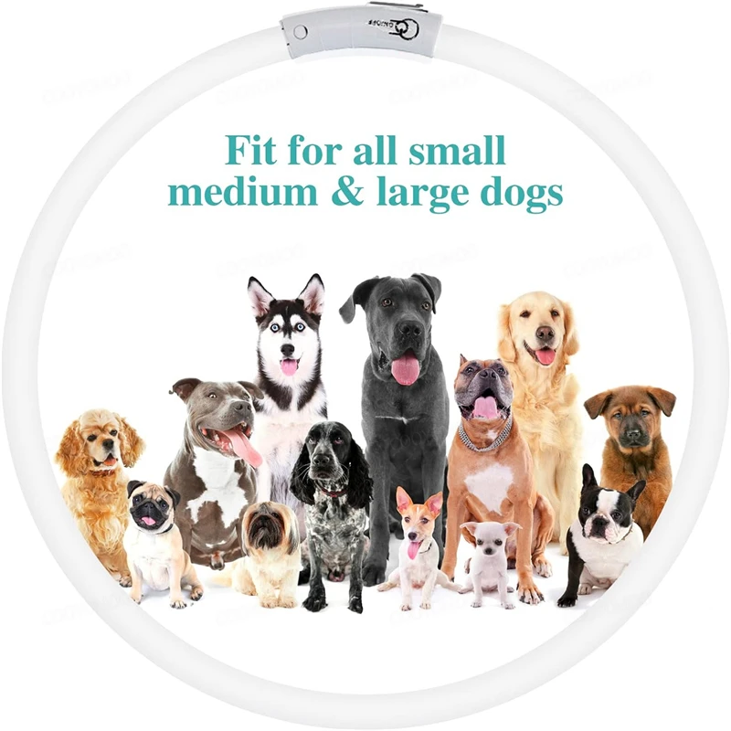 4-Modi Hund Luminou Charge Halsband Led USB Katze Silikon Bunte Halsbänder Cuttable Night Glow Haustier Verlust Prävention Hunde Zubehör – Detail 10