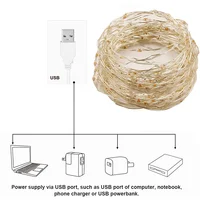 Led Fairy Lights Copper Wire String 1/2/5/10M Holiday Outdoor Lamp Garland For Christmas Tree Wedding Party Decoration 3