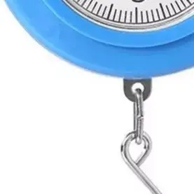 Portable Spring Scale With Iron Hook Small Household Food Weighing Tool For For For Kitchen Baking And Use ABS Material Blue Yel