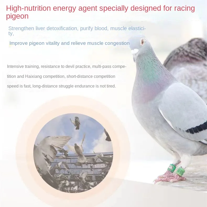 Pigeon speed training training necessary pigeon race physical endurance speed explosive power nutrition supplement 480g