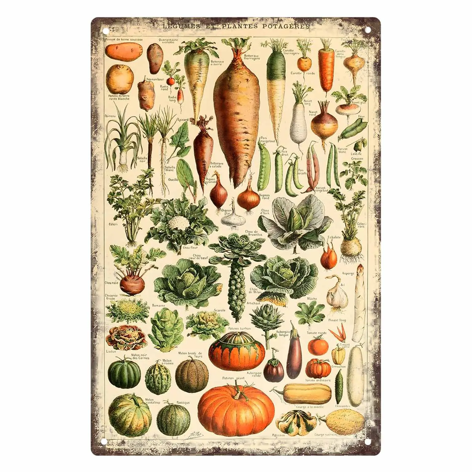 2D FLAT 1pc Vintage French Vegetable Botanical Chart Metal Wall Sign Decoration for Kitchen Cafe Room Farmhouse And Garden