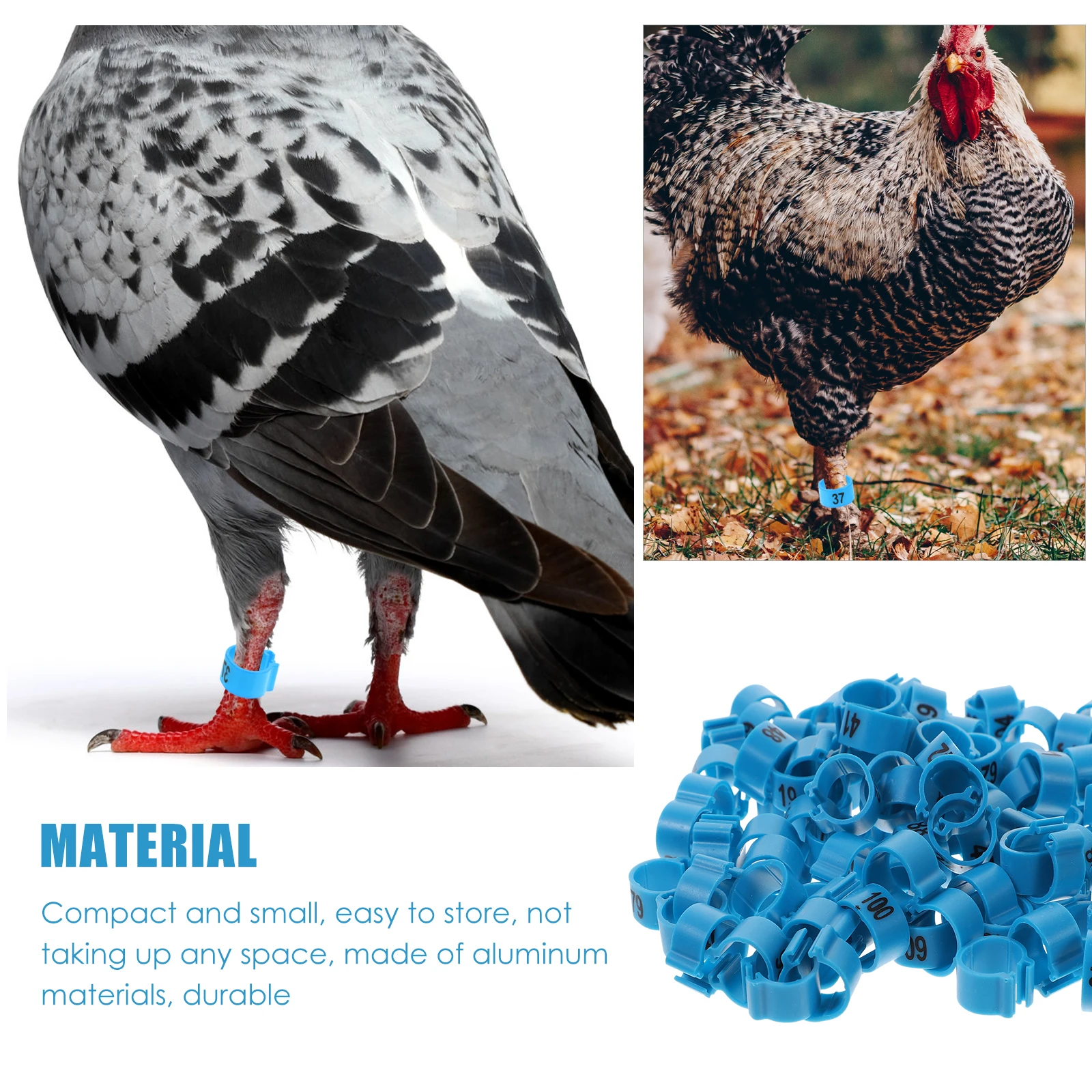 

100Pcs Pigeon Leg Rings Lightweight Aluminum Bird Leg Bands Private Pigeon Markers Numbered Poultry Foot Bands Identification