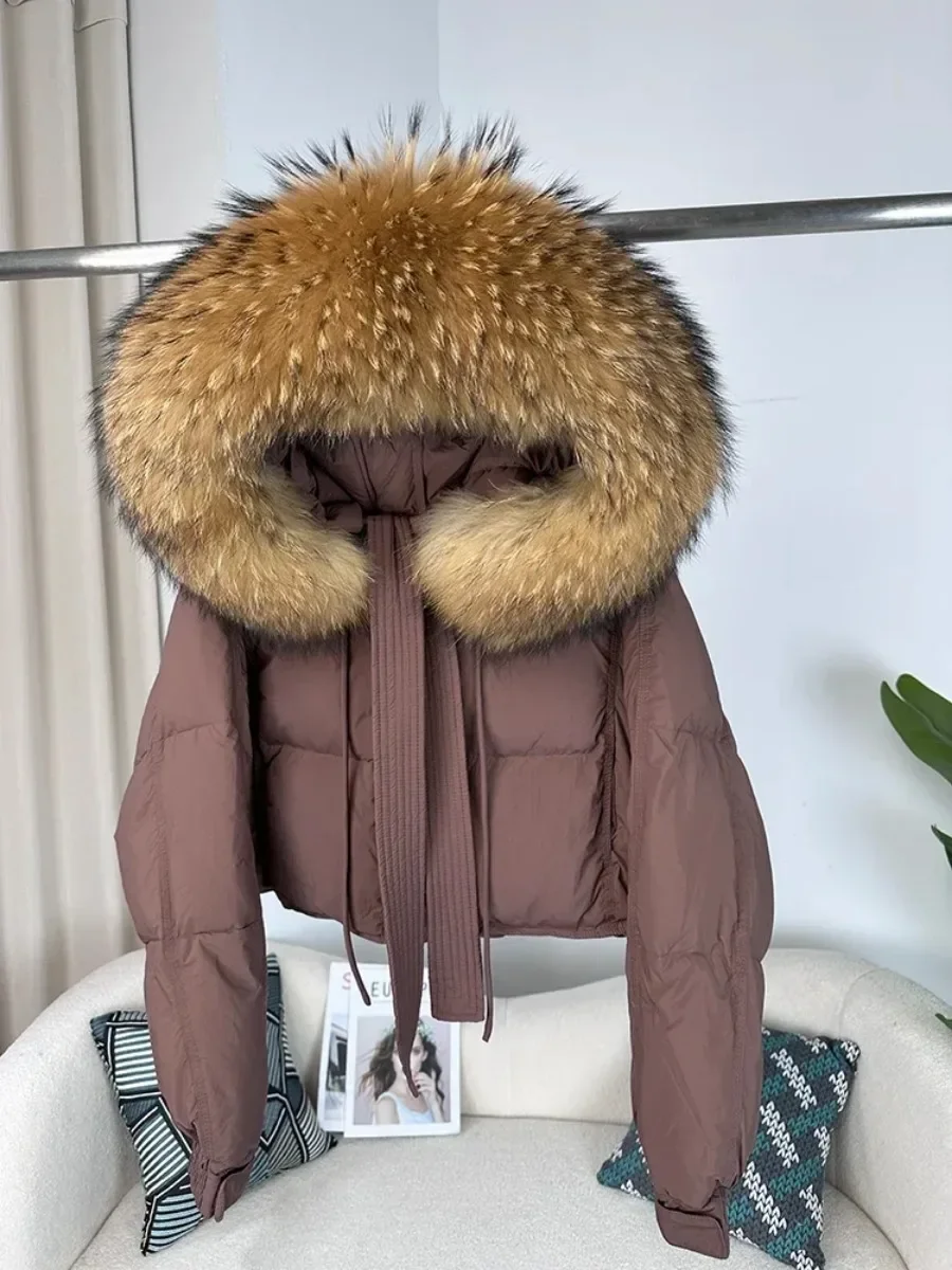 New Winter Women Jacket Detachable Real Fox Fur Raccoon Fur Collar Hooded Thick Warm Duck Down Loose Streetwear Outerwear