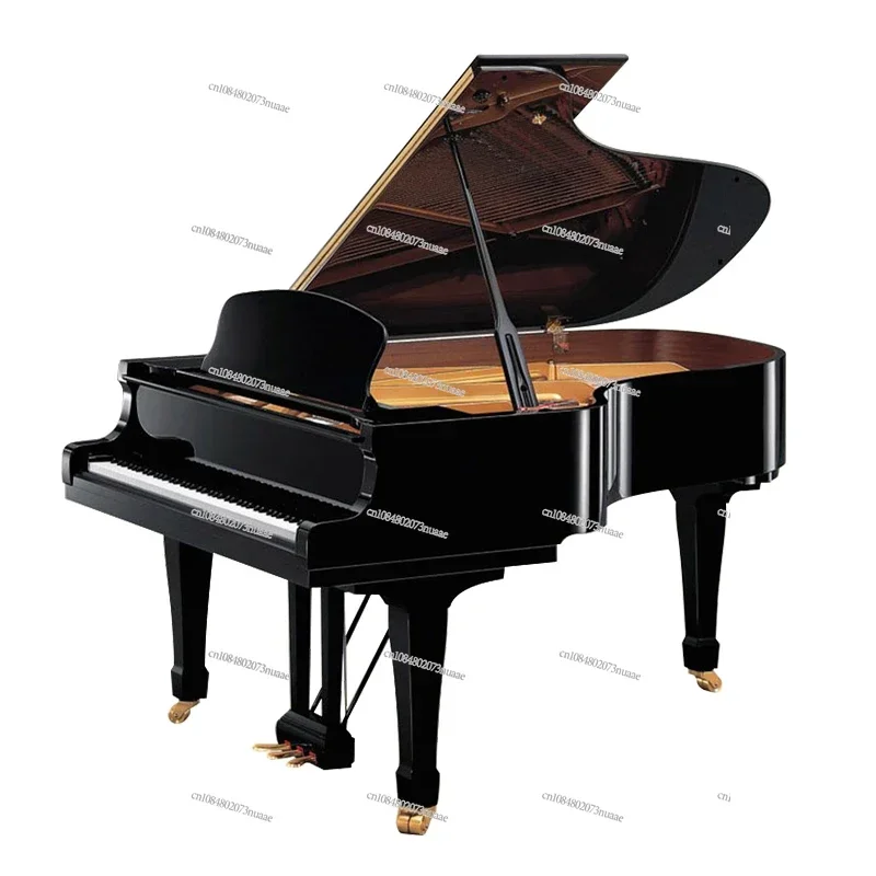 Upright/Grand Piano 88 Keys Advanced Family Level Performance Levels 1-10