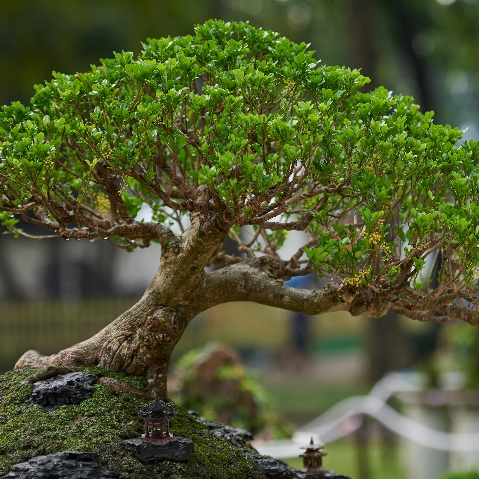 

Chinese Style Mini Pavilion Statue Bonsai Micro Landscape Aquarium Ornament Fish Tank Decor Home Garden Desktop Adornment