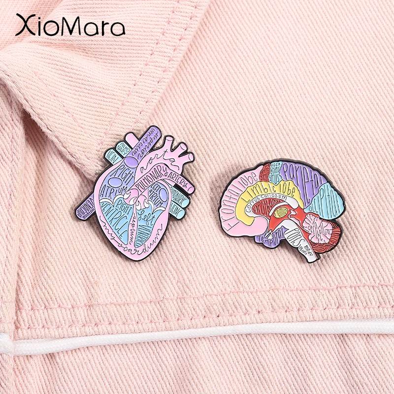 

Labeled Brain Anatomy Heart Anatomy Enamel Pins Human Organ Medical Model Brooches Lapel Badge Jewelry Gifts for Medical Student