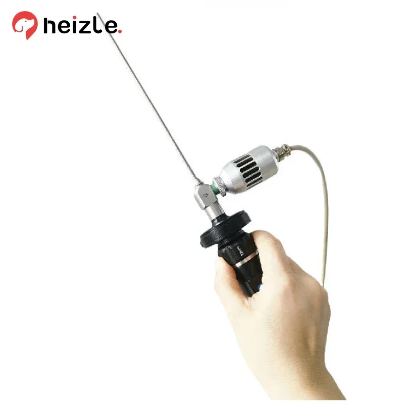 Otoscopio HD professionale medico industriale Sistema endoscopio per ispezione otorinolaringoiatrica Telecamera per otoscopio digitale veterinario per uso computer