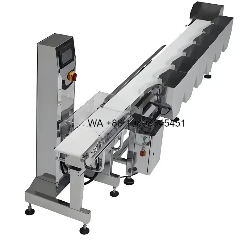 Wmwmnu High Efficiency Automatic Fish Sorting Weighing Scale Checkweigher with 2g Accuracy Customized OEM Support