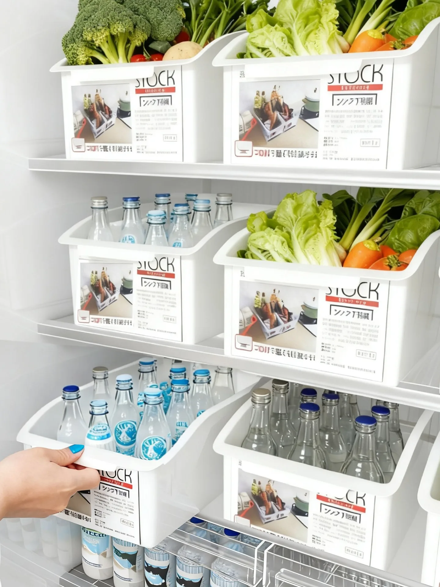 

Food ade Der Sle Fren Preservation Box Frie Storage Kitchen Vegetable Freezer Sed Dumpling Egg Storage Box