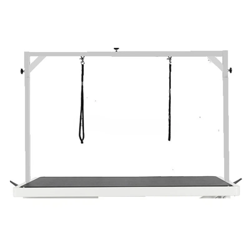 

Ultra-Low Electric Lifting Golden Retriever Samo Large Dog Special Pet Shop Dog Beauty Table Cosmetic Table